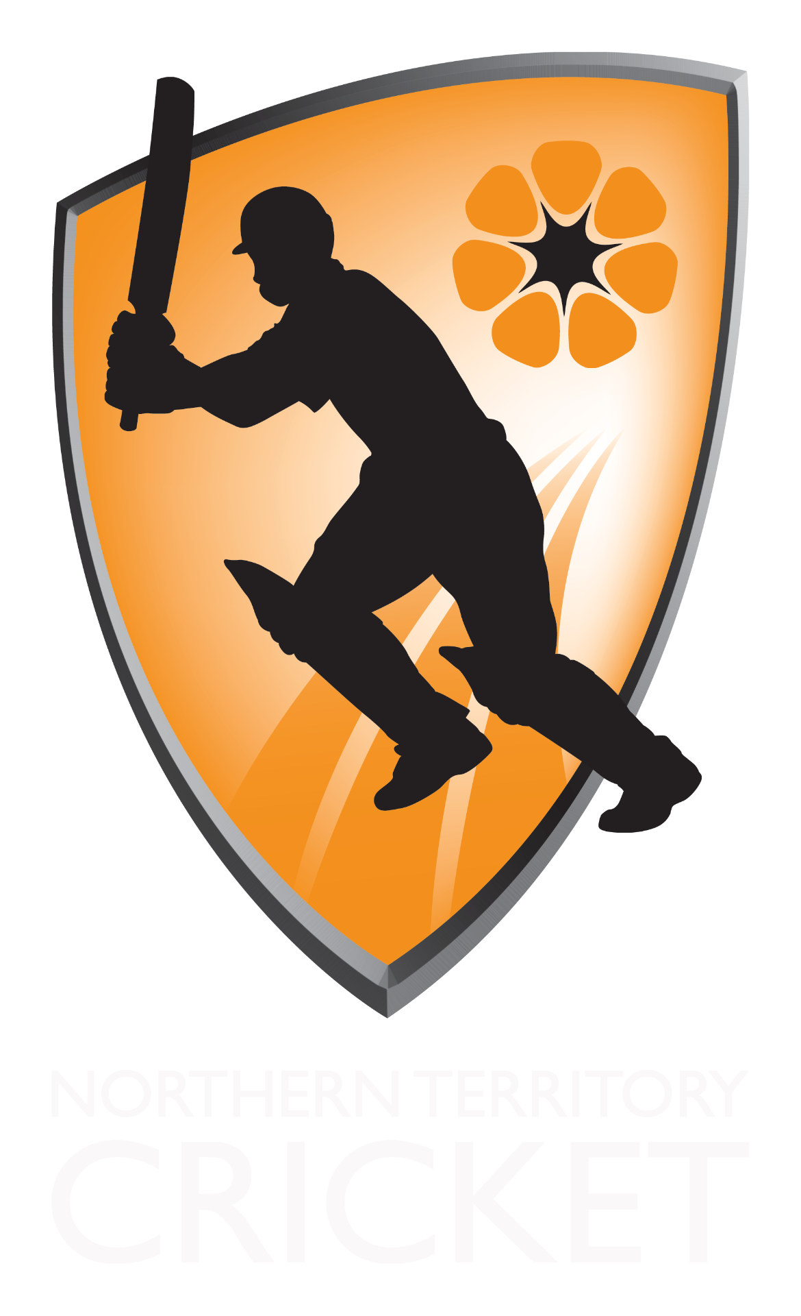 Northern Territory Cricket